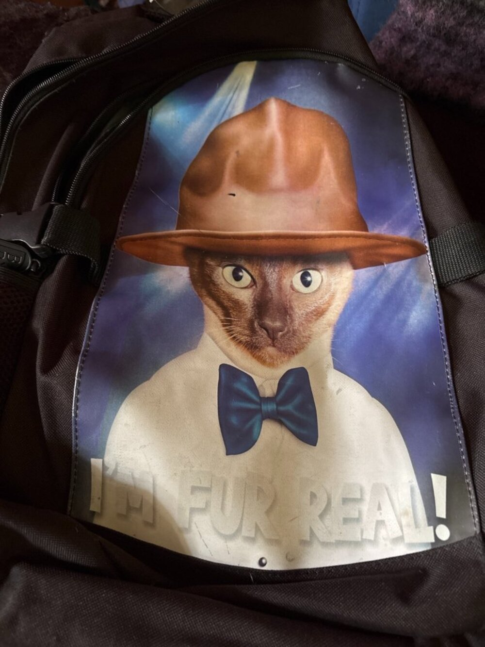 Pets Rock Takkoda Cat Backpack "Purrell" Fedora Bow Tie Novelty Y2K Black Rare